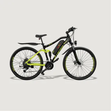 Hub Drive eBicycle