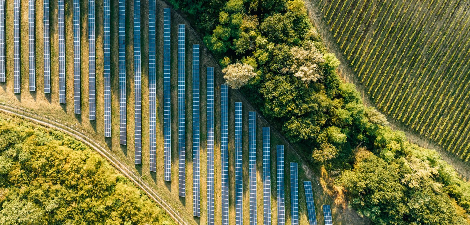 greener-future-bg-image